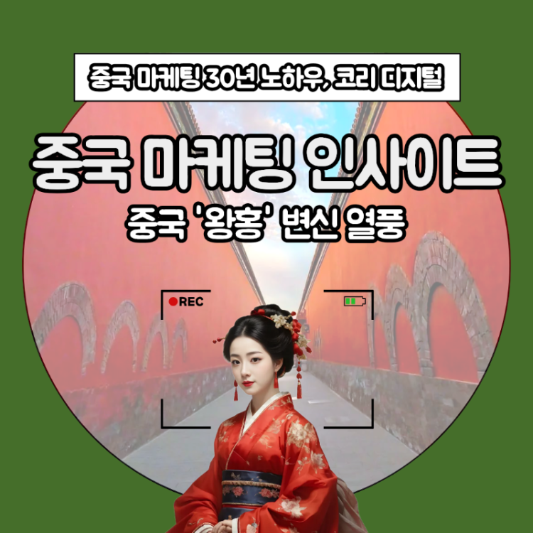 [중국 마케팅 인사이트]&nbsp;중국 ‘왕홍 변신’ 열풍팅의 미래.png