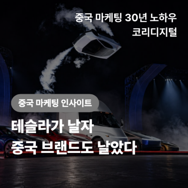 [중국 마케팅 인사이트] 테슬라가 날자 중국 브랜드도 날았다.png